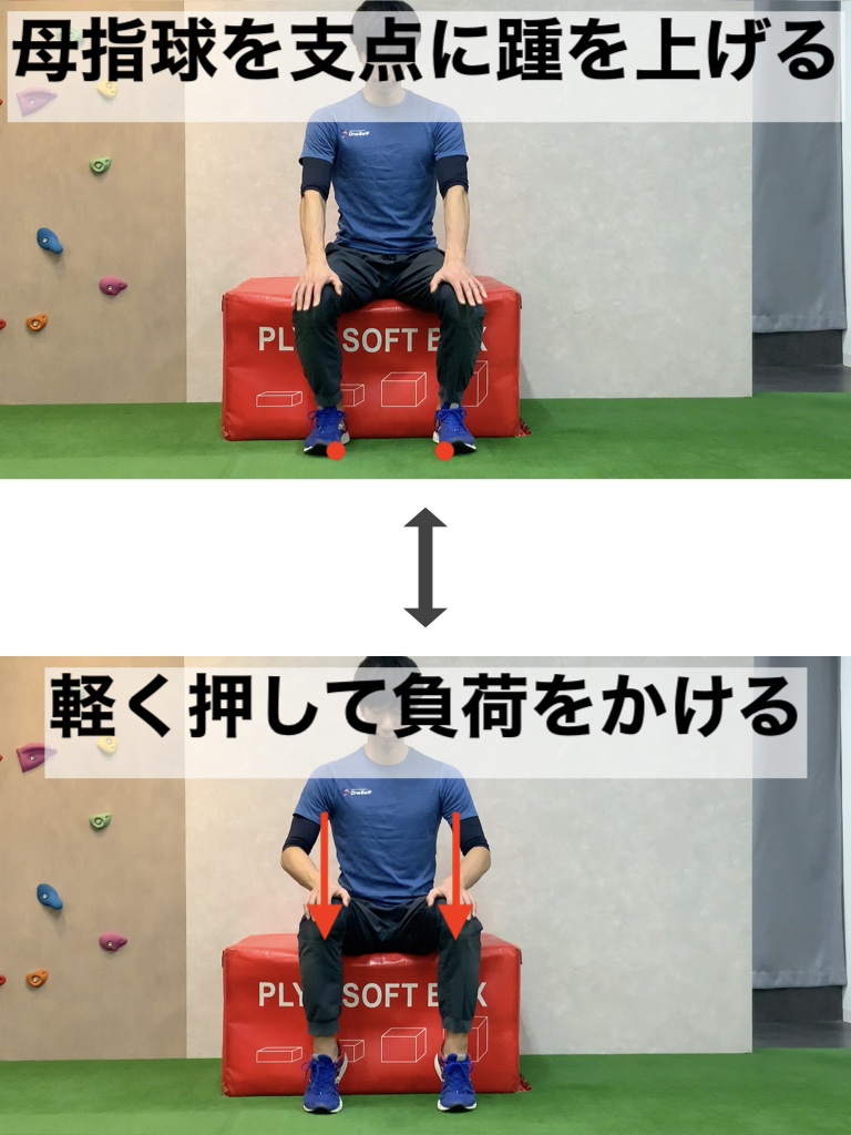 座位カーフレイズ
